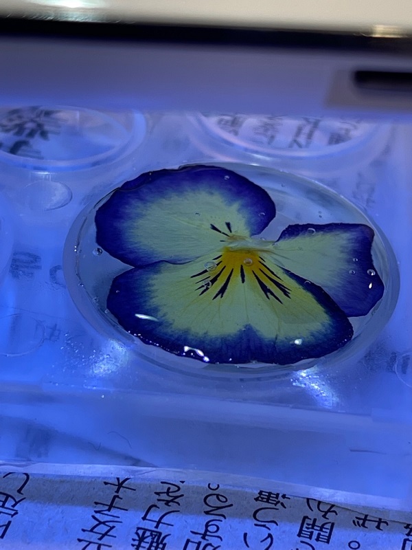 押し花 レジン細工