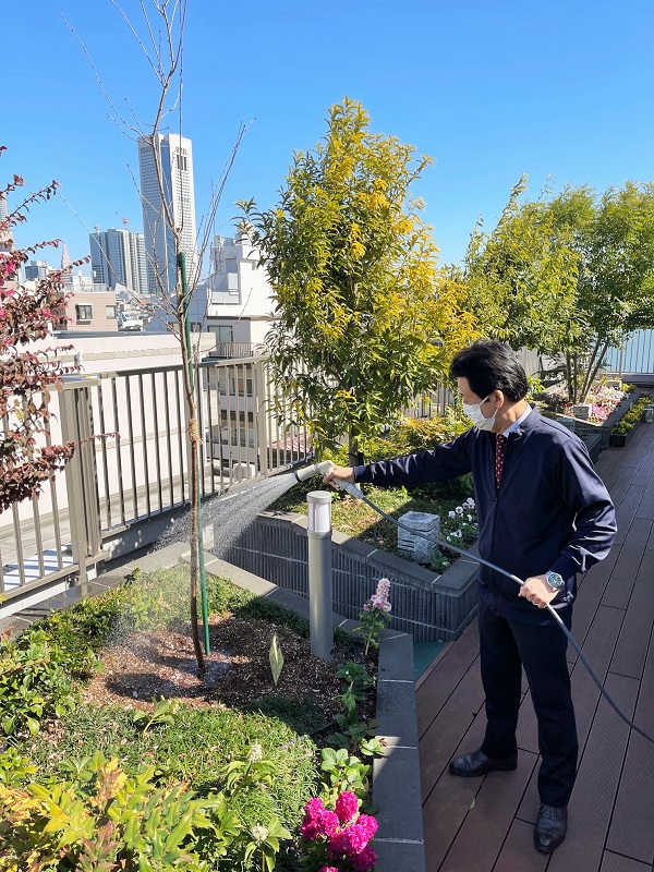 桜植樹後の様子