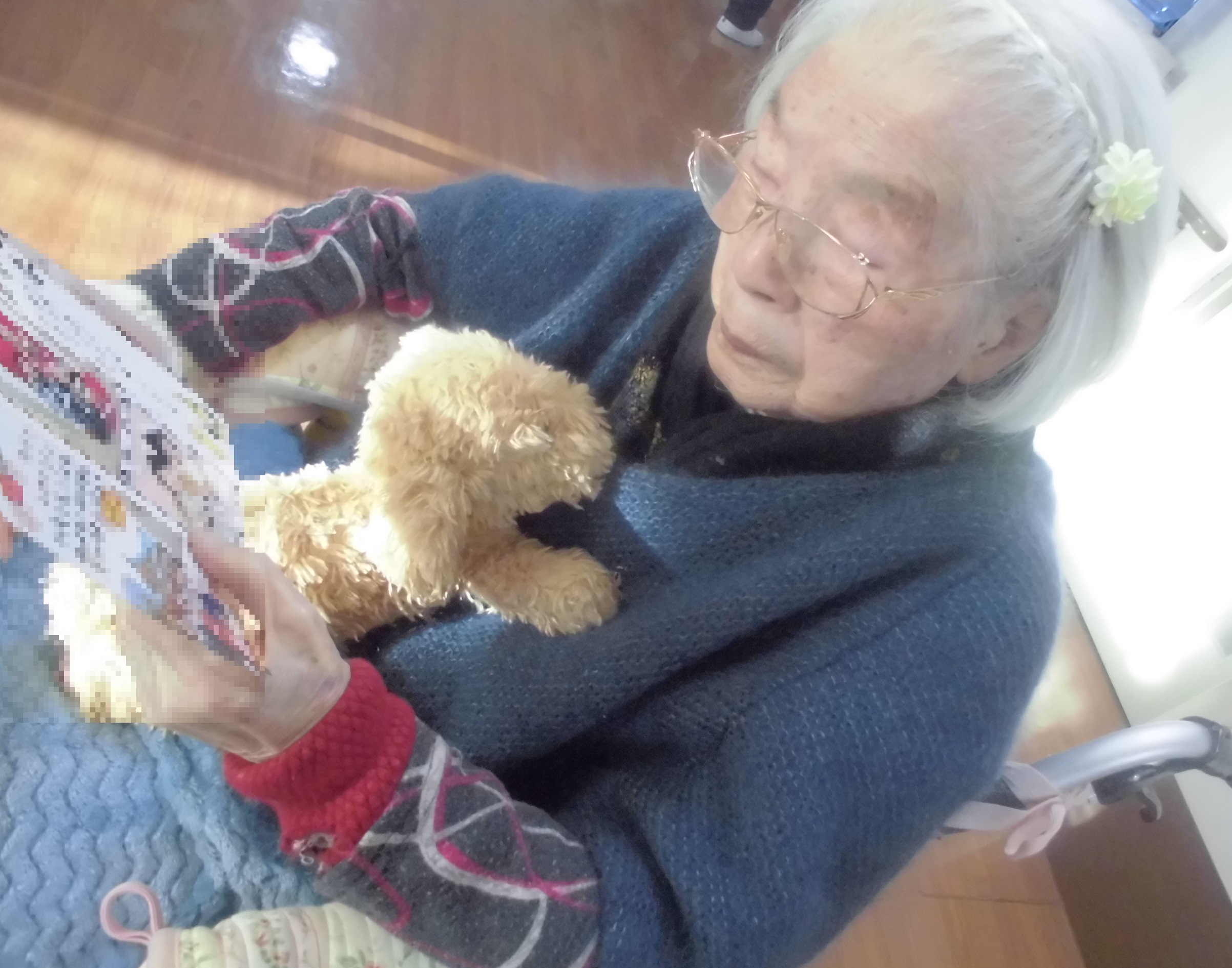ご家族からの年賀状