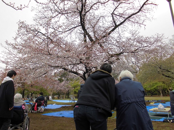 3月31日　井の頭公園にてお花見