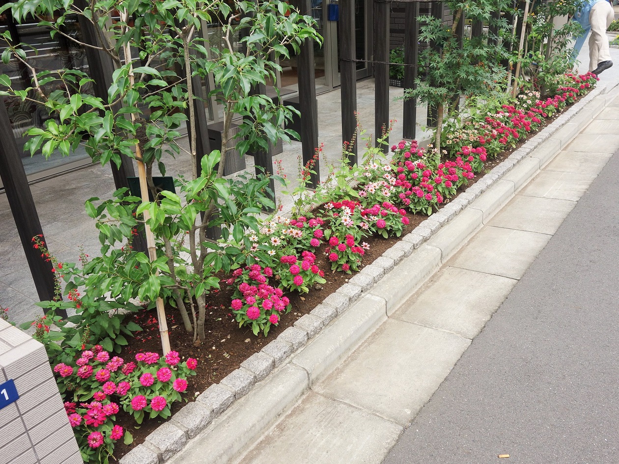 7月24日　「花壇」をリニューアルしました。