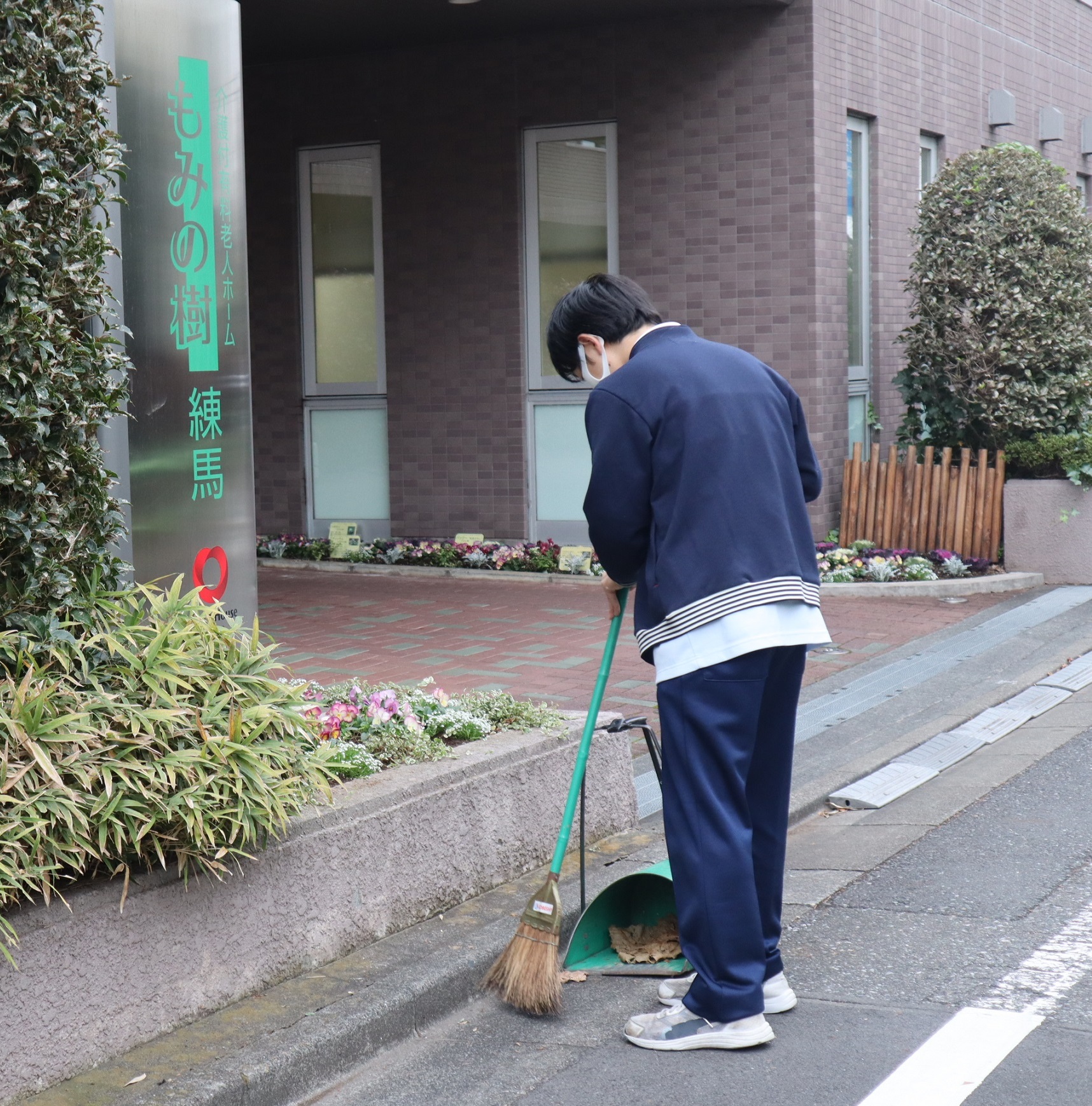 もみの樹・練馬の朝