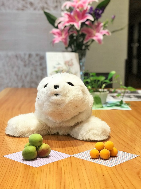 6月8日　梅シロップ作り