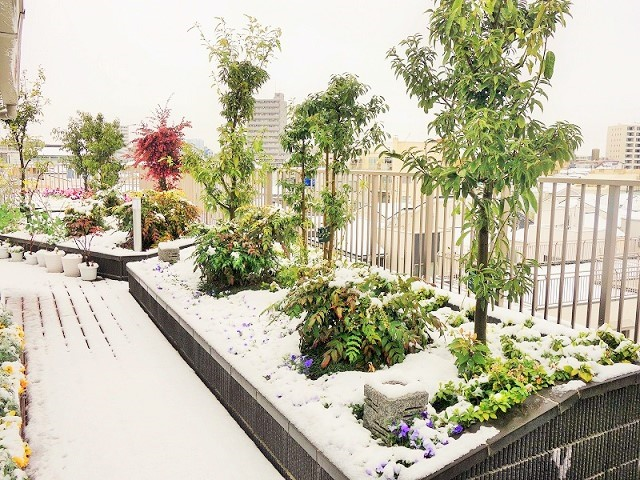 3月29日　春の雪景色
