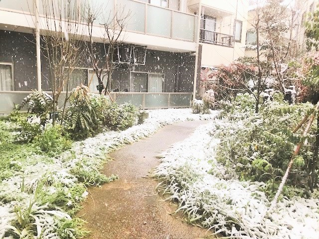 3月29日　春の雪景色