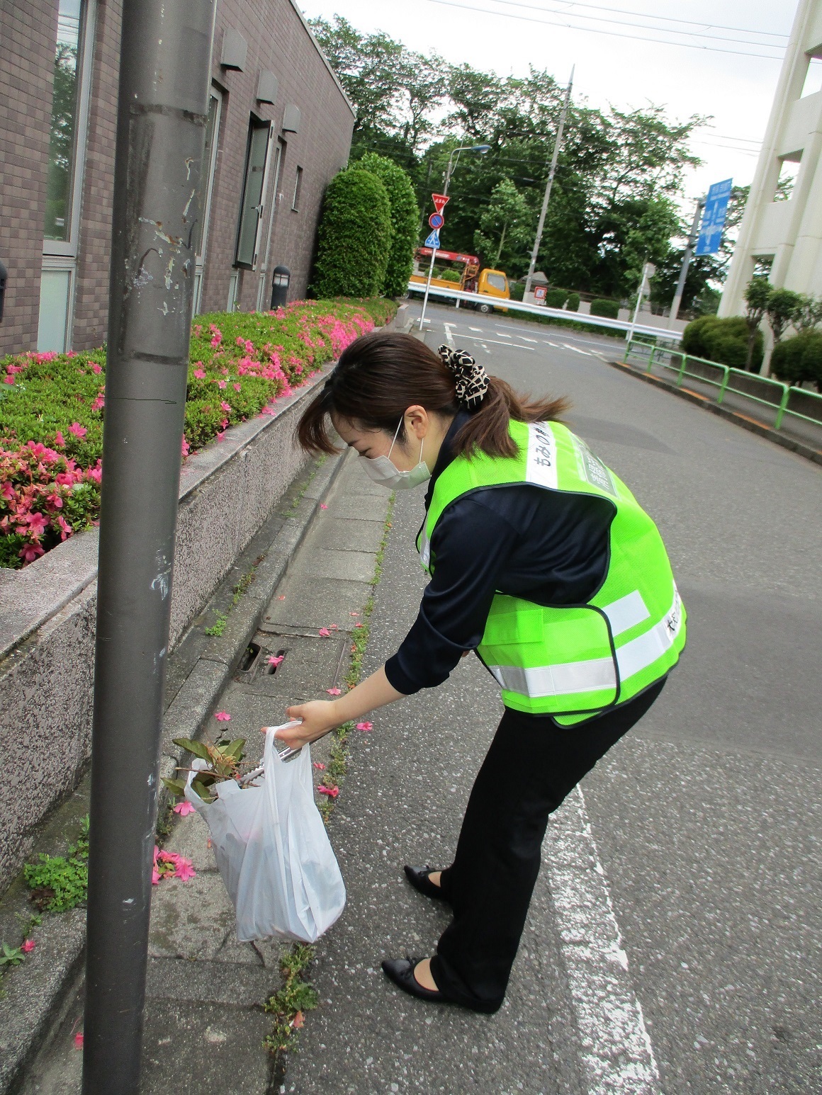 もみの樹・練馬の朝