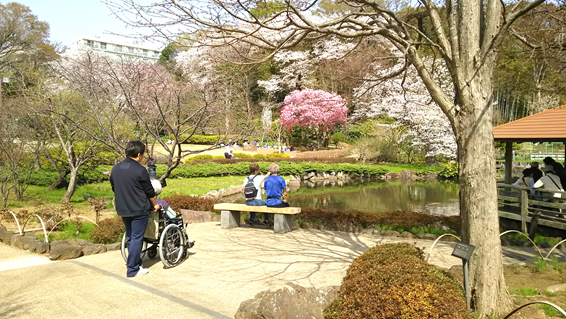 お花見散歩